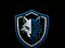NSAG Network Security Assessment Group